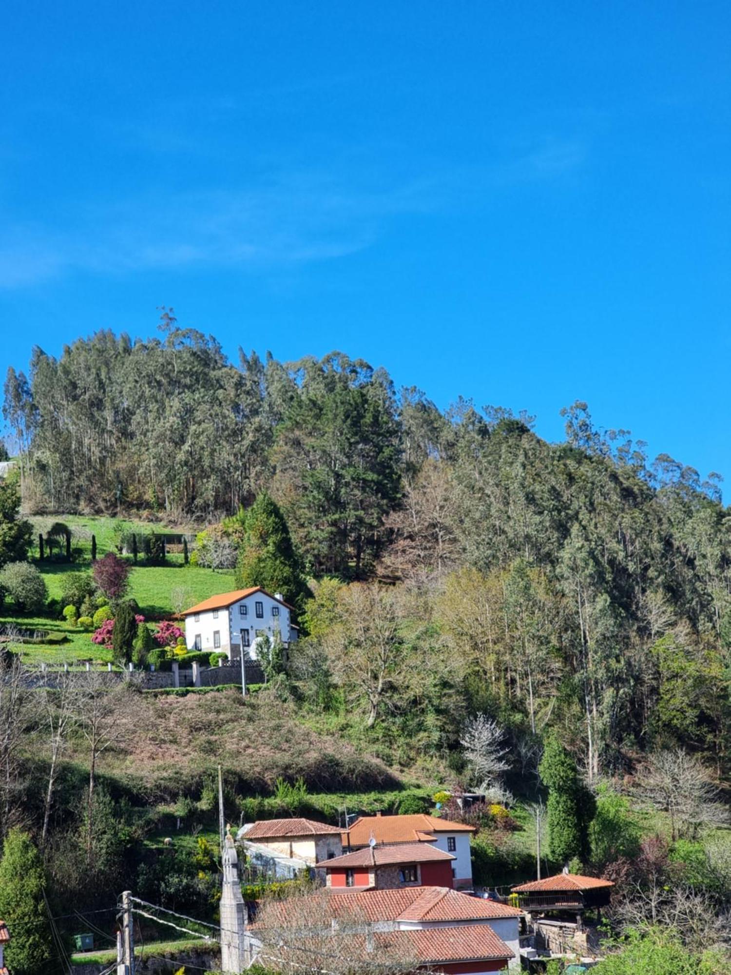 Apartamentos Rurales Corias Extérieur photo
